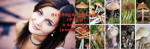 мескалин Белокуриха