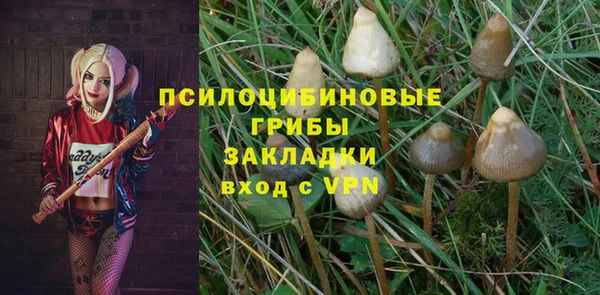 бошки Михайловск