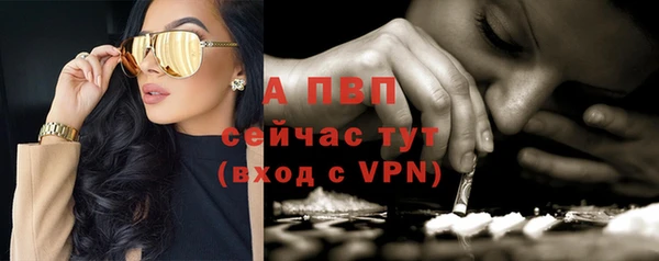 спайс Беломорск